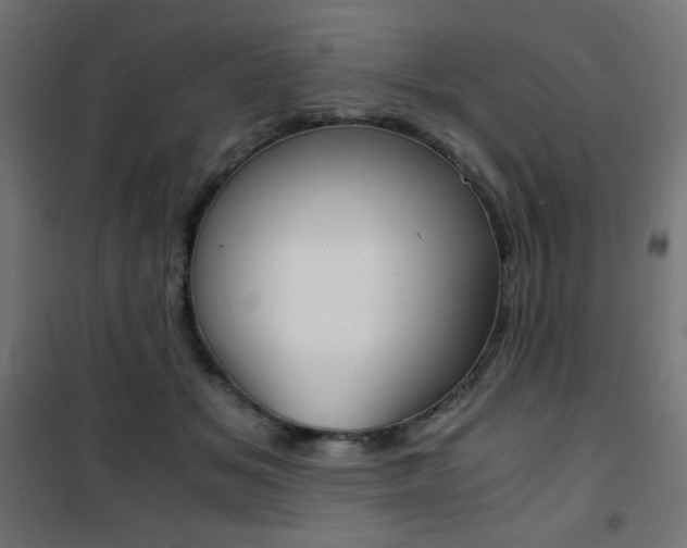 X0000101390509200807071008