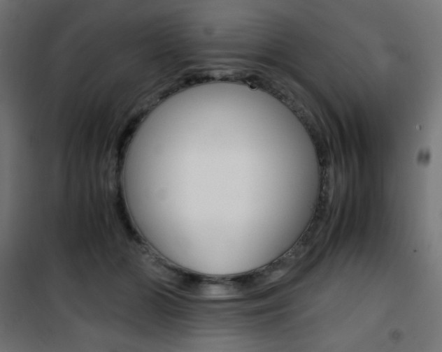 X0000101390510200807071008