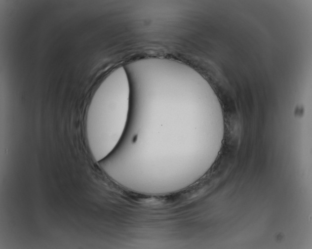 X0000101390511200807071008