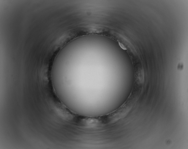 X0000101390512200807071008