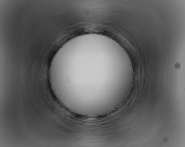 X0000101390513200807071008