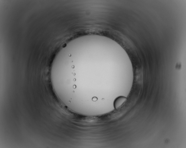 X0000101390514200807071008