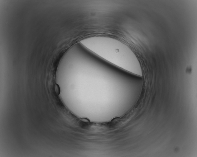 X0000101390515200807071008