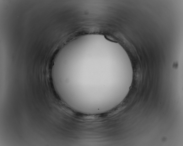 X0000101390516200807071008