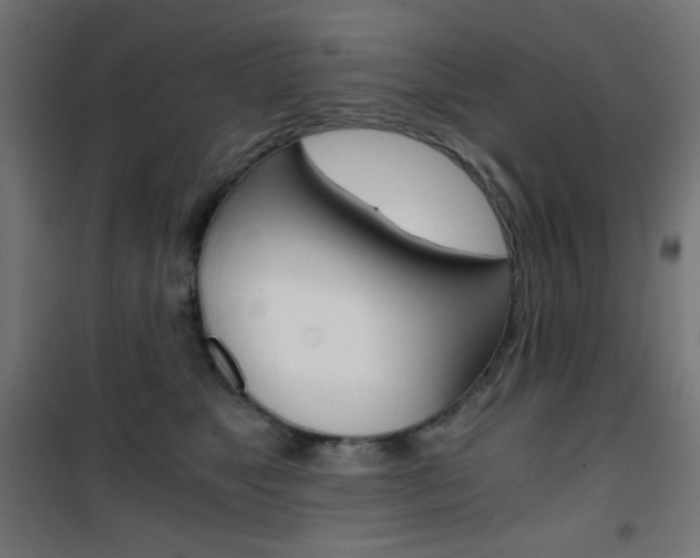 X0000101390517200807071008