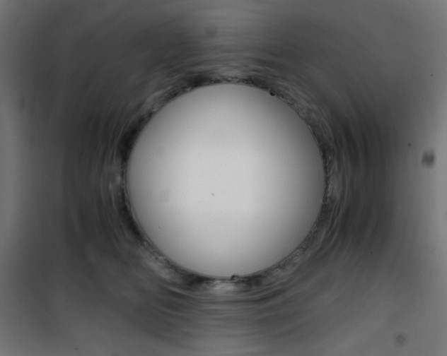 X0000101390518200807071008