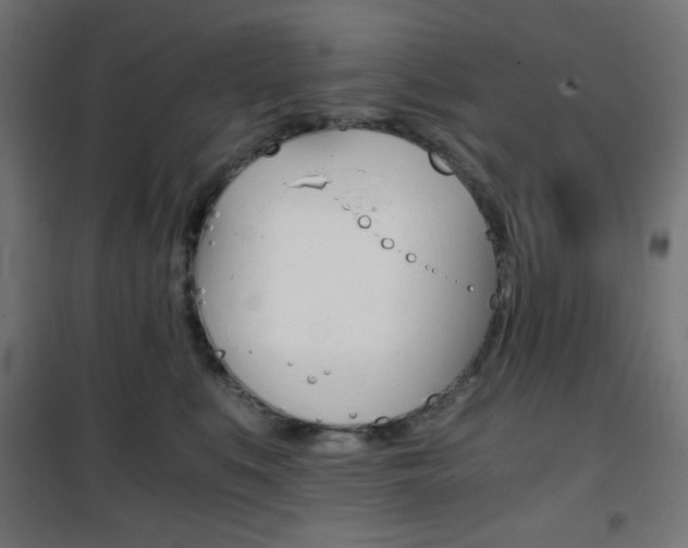 X0000101390519200807071008