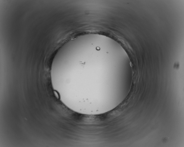 X0000101390521200807071008