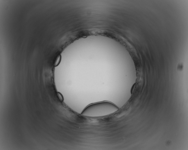 X0000101390523200807071008