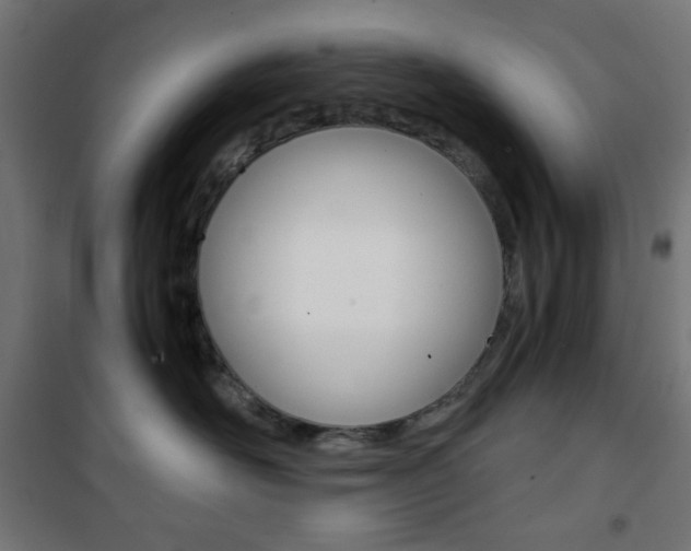 X0000101390526200807071008
