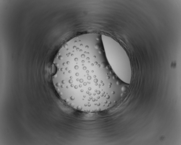 X0000101390527200807071008