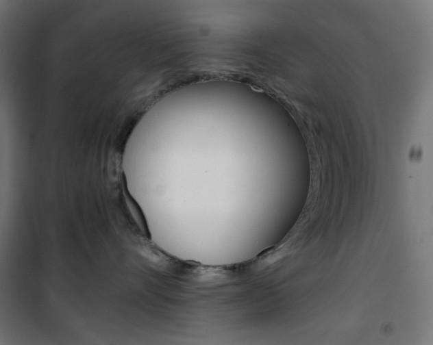 X0000101390528200807071008