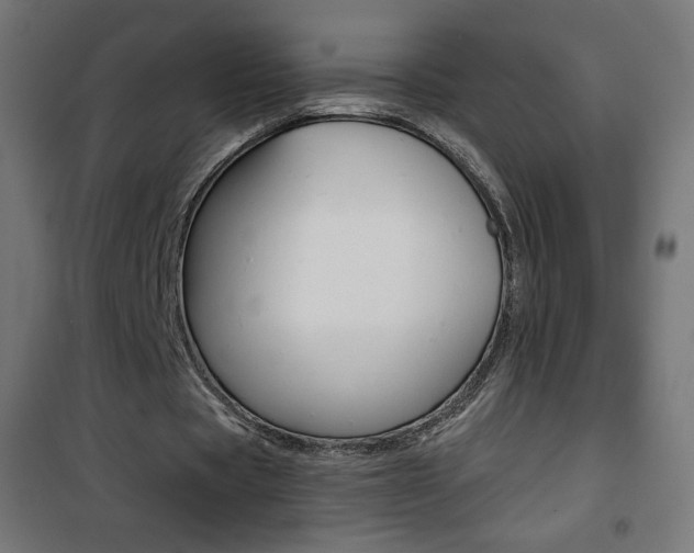 X0000101390529200807071007