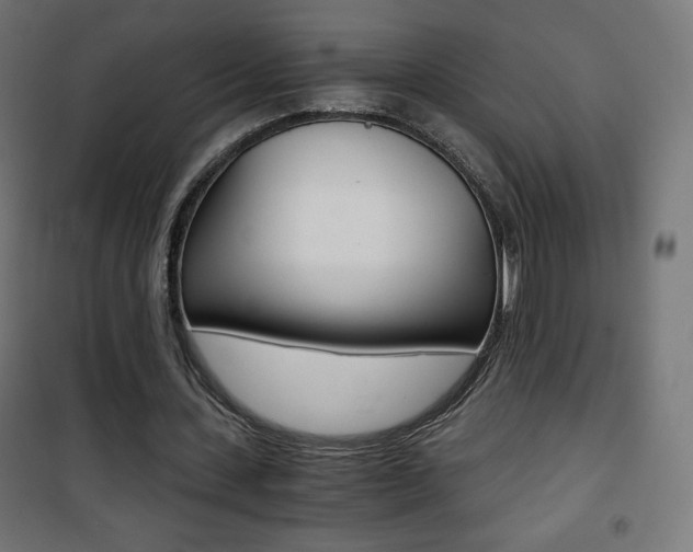 X0000101390531200807071007