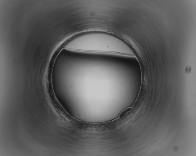X0000101390532200807071007