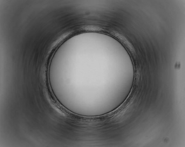 X0000101390533200807071007