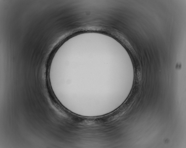 X0000101390534200807071007