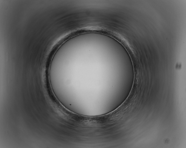 X0000101390535200807071007