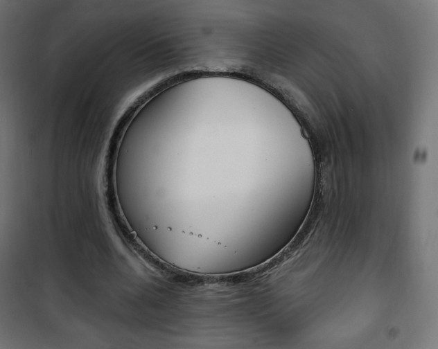 X0000101390536200807071007