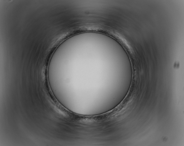 X0000101390537200807071007