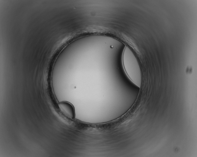 X0000101390538200807071007