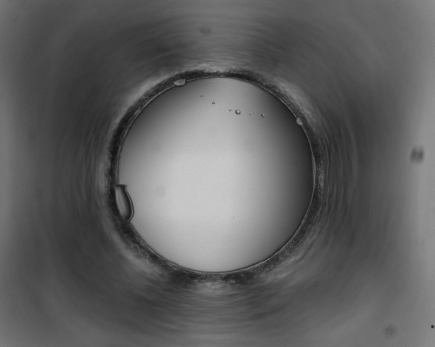 X0000101390540200807071007