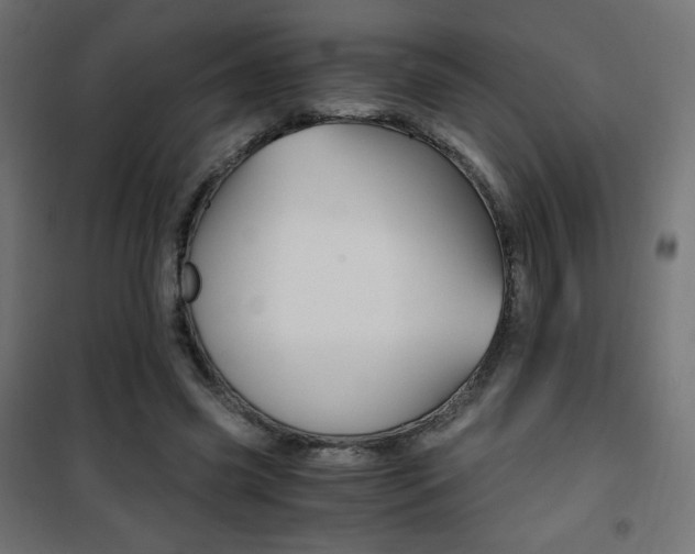 X0000101390541200807071007