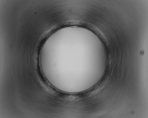 X0000101390542200807071007