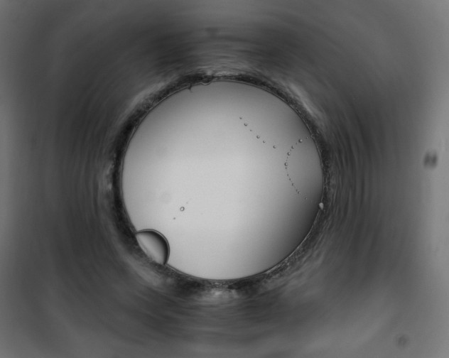 X0000101390543200807071007