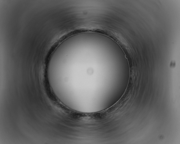 X0000101390544200807071007