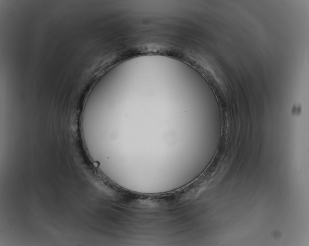 X0000101390545200807071007