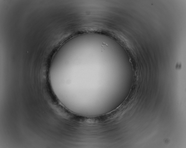 X0000101390546200807071007