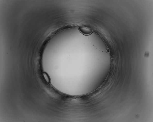 X0000101390548200807071007