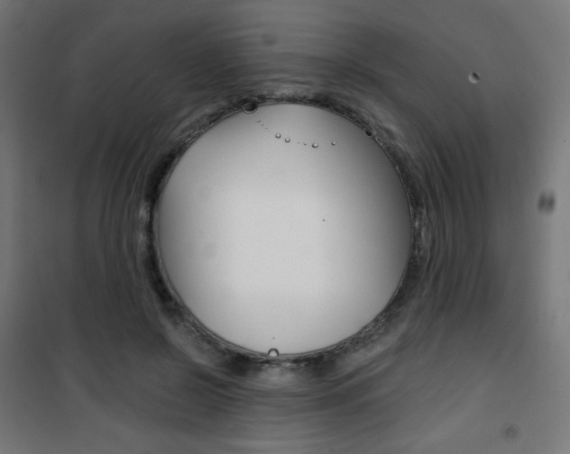 X0000101390550200807071007