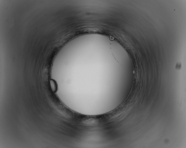 X0000101390551200807071007