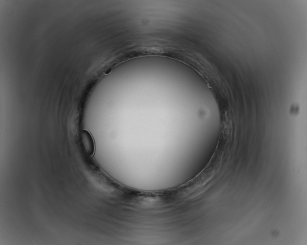 X0000101390552200807071007