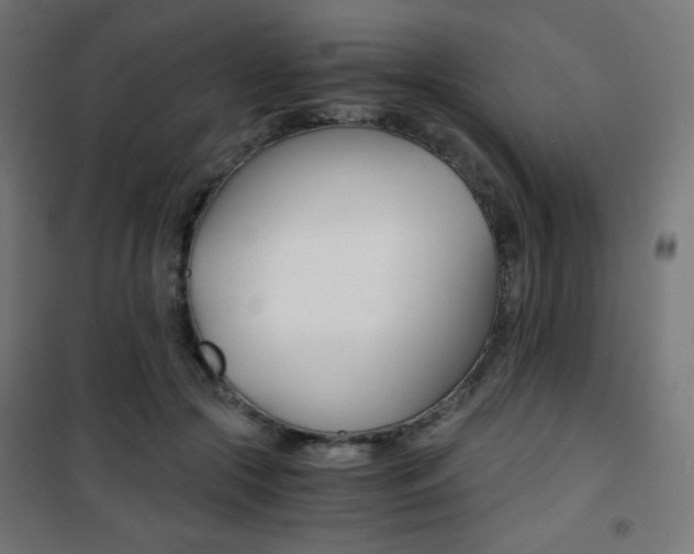 X0000101390553200807071007