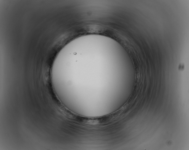 X0000101390554200807071007