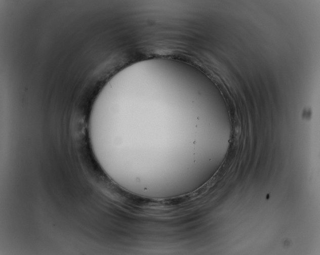 X0000101390555200807071007