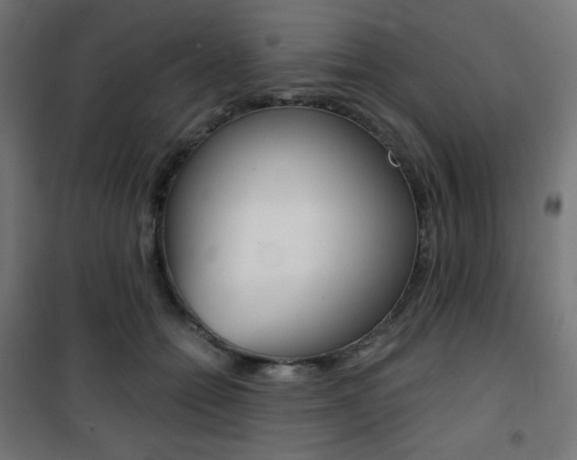 X0000101390558200807071007