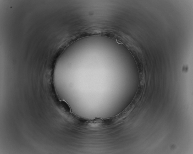 X0000101390560200807071007