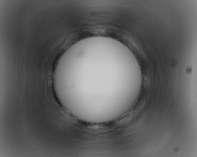 X0000101390561200807071007