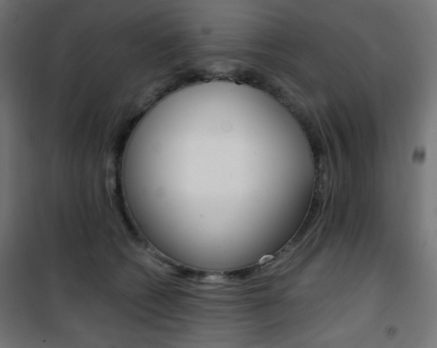 X0000101390562200807071007