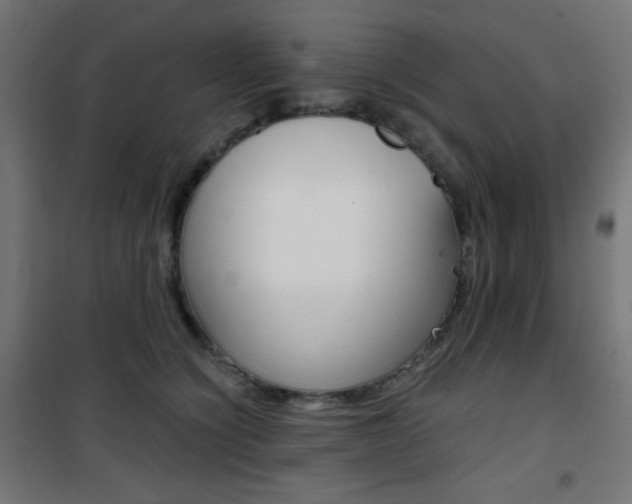 X0000101390564200807071007