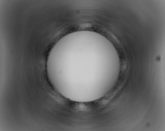 X0000101390565200807071007