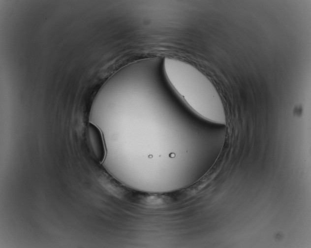 X0000101390566200807071007