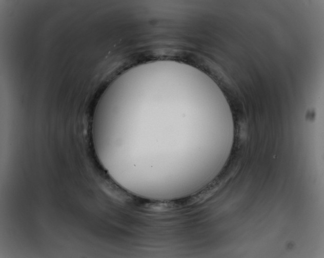 X0000101390567200807071008