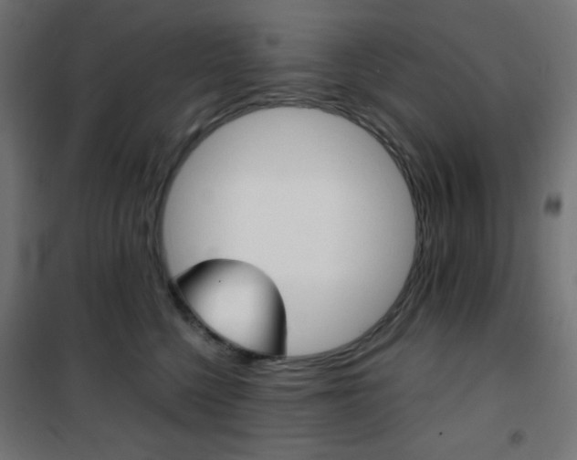 X0000101390568200807071008