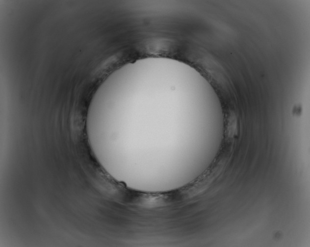 X0000101390569200807071008