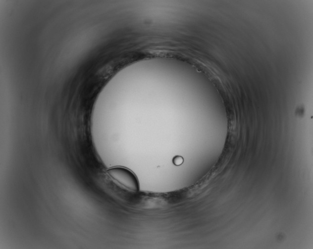 X0000101390572200807071008